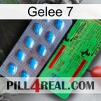 Jelly 7 new03